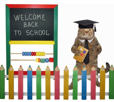 Kare akademik şapkalı kedi öğretmen tutan bir kitap blackboard yakınındaki 