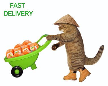Hasır şapkalı kedi suşi ile yeşil el arabası iter. Beyaz arka plan.