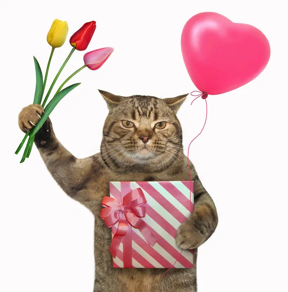 Die Katze Hält Eine Geschenkbox Einen Roten Ballon Und Ein — Stockfoto
