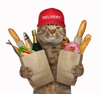 Kırmızı şapkalı kedi yiyecek olan iki kağıt paket tutuyor. Beyaz arka plan.