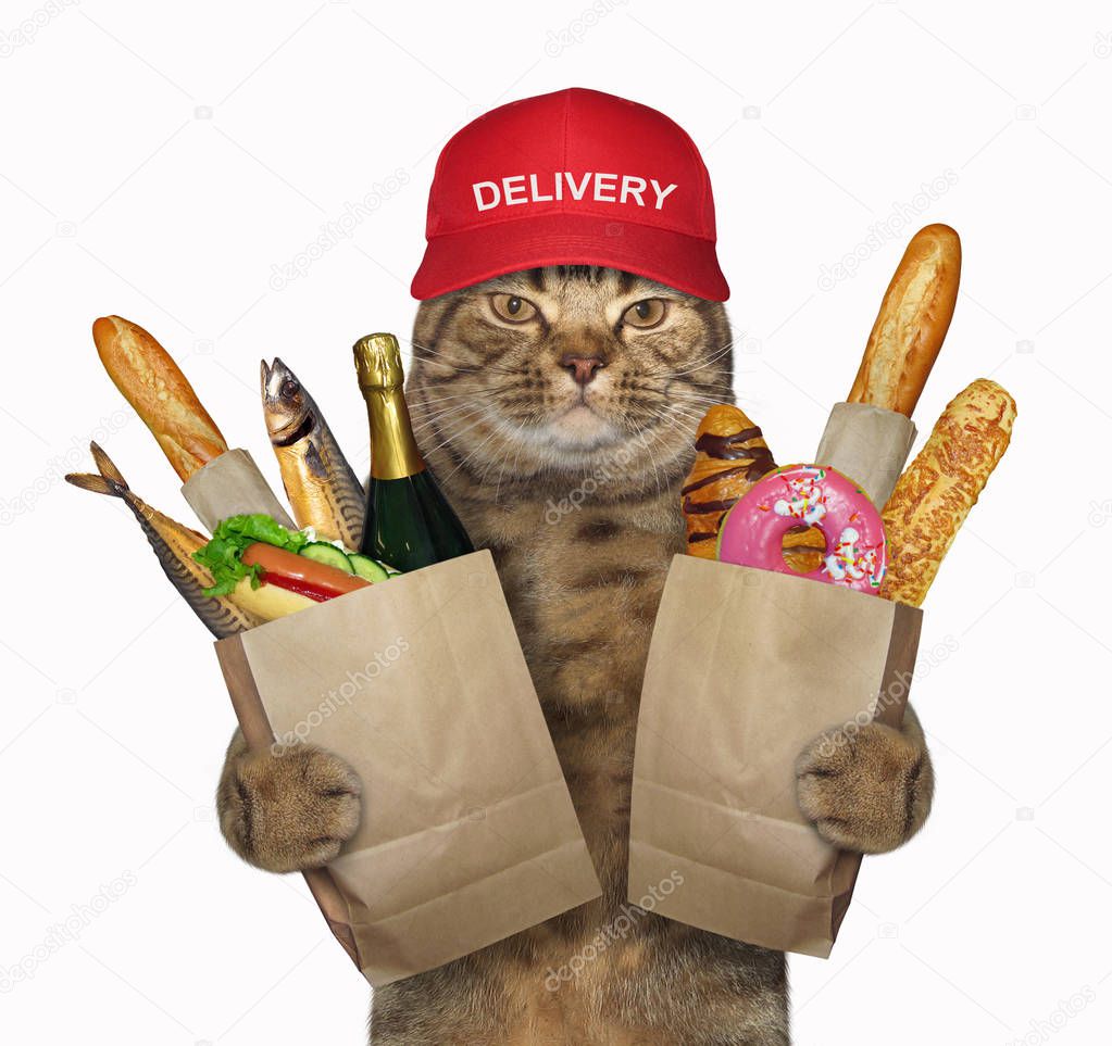 The cat in the red cap is holding two paper packet with groceries. White background.