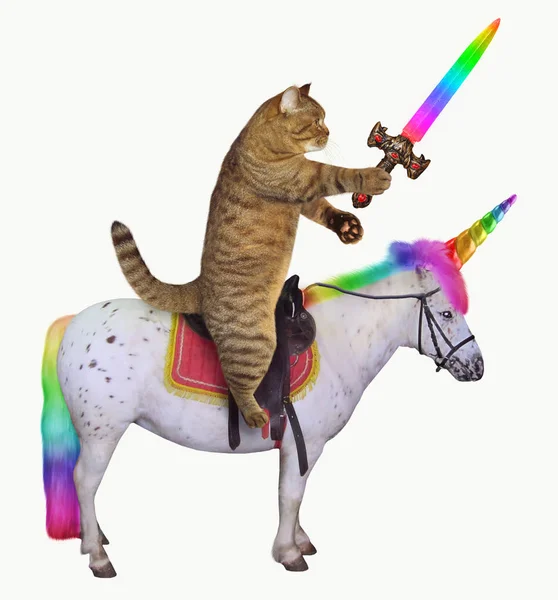Bir gökkuşağı kılıç ile kedi gerçek tek boynuzlu at biniyor. Beyaz arka plan.