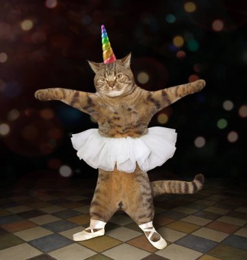 Kedi balet bir gökkuşağı boynuz, pointe Ayakkabı ve bir etek giyiyor . 