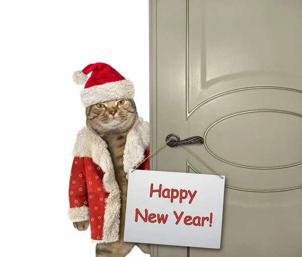 Papai Noel Gato Está Porta Com Sinal Feliz Ano Novo — Fotografia de Stock
