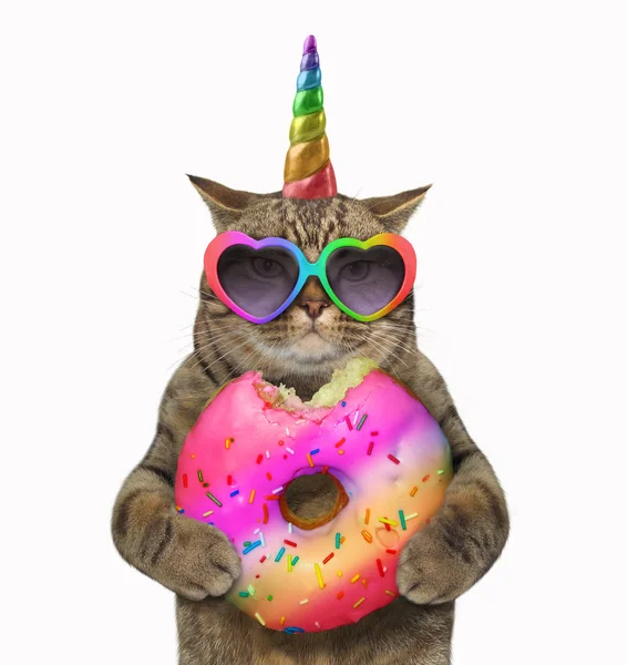 Die Katze Einhorn Isst Einen Großen Gebissenen Regenbogen Donut Weißen — Stockfoto