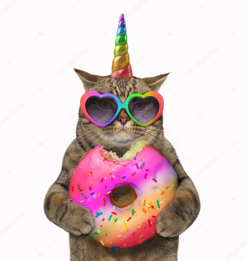 The cat unicorn is eating a big bitten rainbow donut White background.