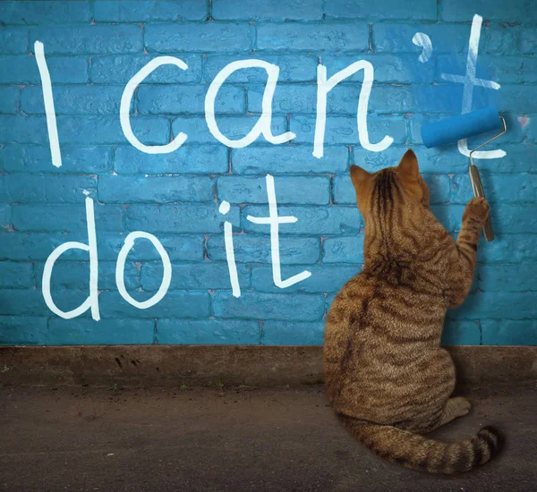 The cat is painting over the letter t in the word can\'t on a blue brick wall.
