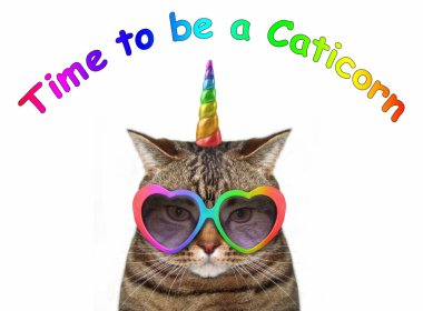Kedi tek boynuzlu at şirin gözlük takıyor. Bir caticorn olmak için zaman.