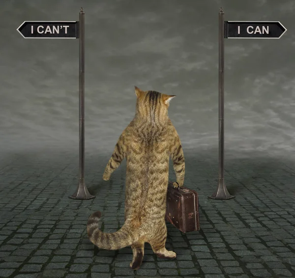 The cat with a old suitcase is at a crossroads with two signs  I can and I can\'t. He has to make a difficult choice