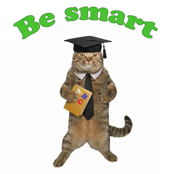 Gato Inteligente Sombrero Académico Tiene Libro Abc Inteligente — Foto de Stock
