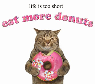 Kedi pembe ısırıldı çörek tutar. Hayat çok kısadır. Daha fazla donut yemek. Beyaz arka plan.