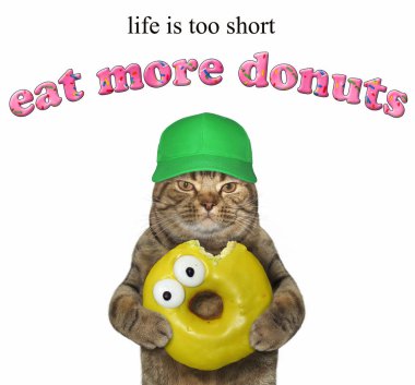Yeşil şapkalı kedi sarı ısırıldı çörek tutar. Hayat çok kısadır. Daha fazla donut yemek. Beyaz arka plan.
