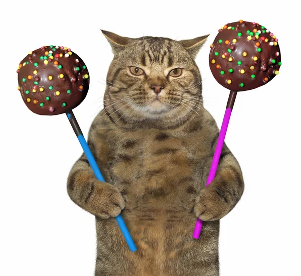 Die Raubkatze Hält Zwei Chocolate Cake Pops Der Hand Weißer — Stockfoto