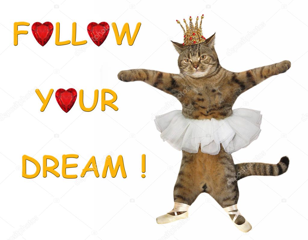 The cat ballerina is dancing. Follow your dream! White background.