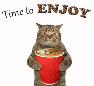 Kedi siyah kahve içiyor. Zaman zevk. Beyaz arka plan.