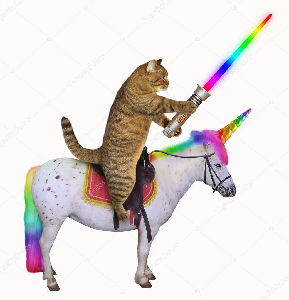 The cat with a glowing  sword is riding the real unicorn. White background.