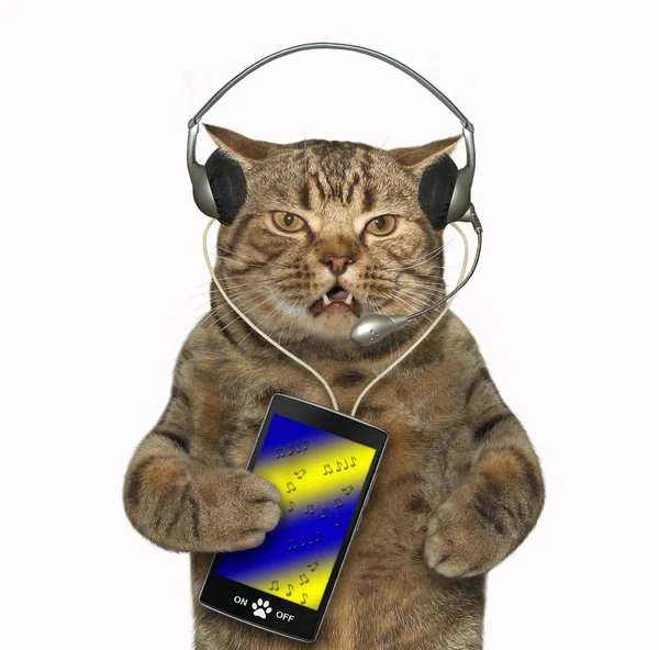 Gato Los Auriculares Está Escuchando Música Fondo Blanco —  Fotos de Stock