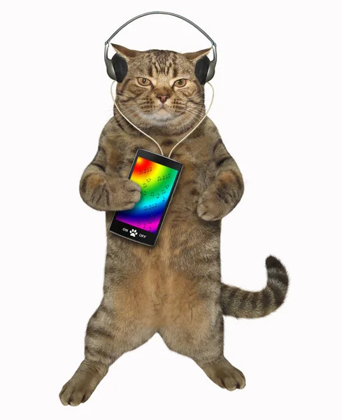Gato Auricular Está Escuchando Música Desde Smartphone Fondo Blanco —  Fotos de Stock