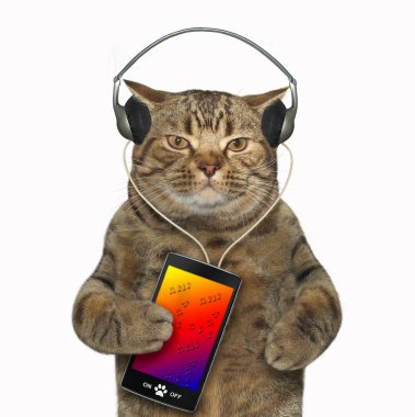 Kulaklığımda kedi bir smartphone--dan müzik dinliyor. Beyaz arka plan.