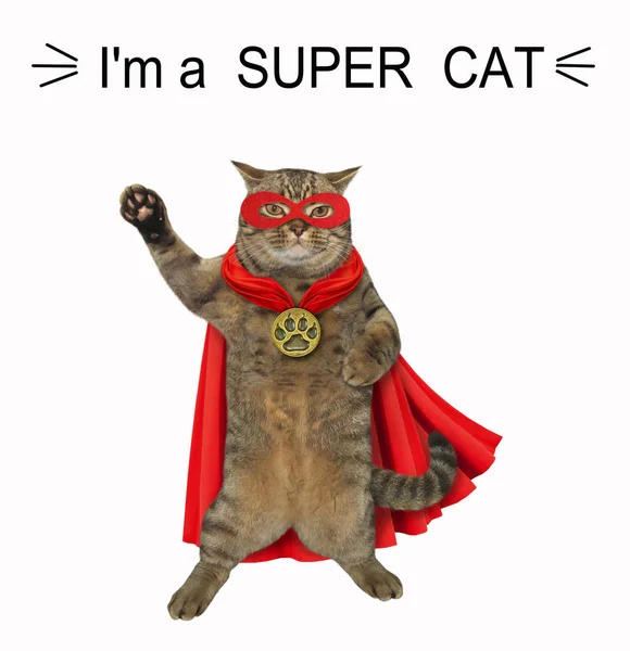 Super Kočka Sobě Červený Plášť Maska Zlatý Medailónek Bílé Pozadí — Stock fotografie