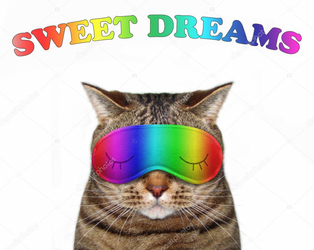 The cute cat wears a rainbow sleep mask. Sweet dreams. White background.