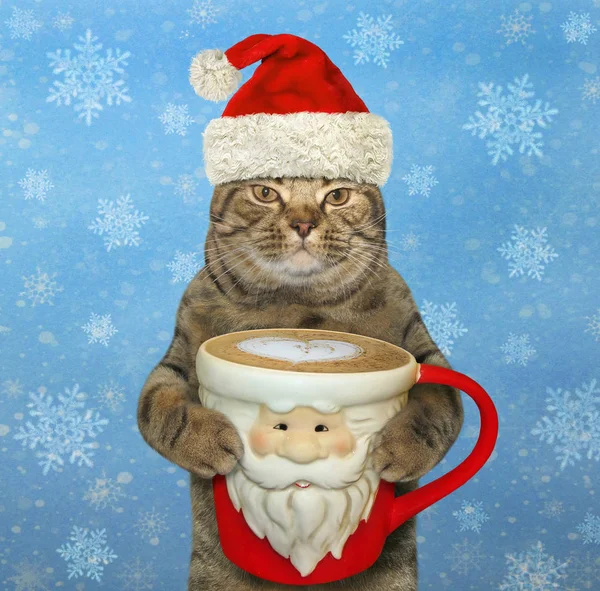 Kočka Klobouku Santa Claus Drží Velký Šálek Černé Kávy Sněhové — Stock fotografie