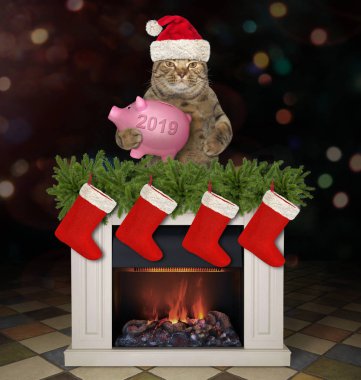 Bir kumbara ile Noel Baba şapkalı kedi Noel Şömine olduğunu. Koyu arka plan.