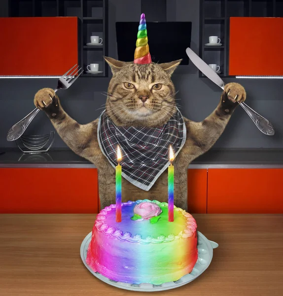 Unicornio Gato Con Cuchillo Tenedor Comer Pastel Cumpleaños Con Dos —  Fotos de Stock