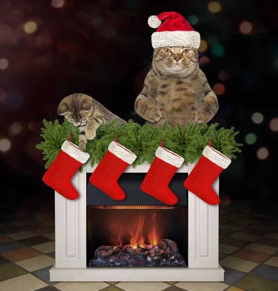 Katten Jultomten Hatt Och Kattunge Bakom Jul Eldstaden — Stockfoto