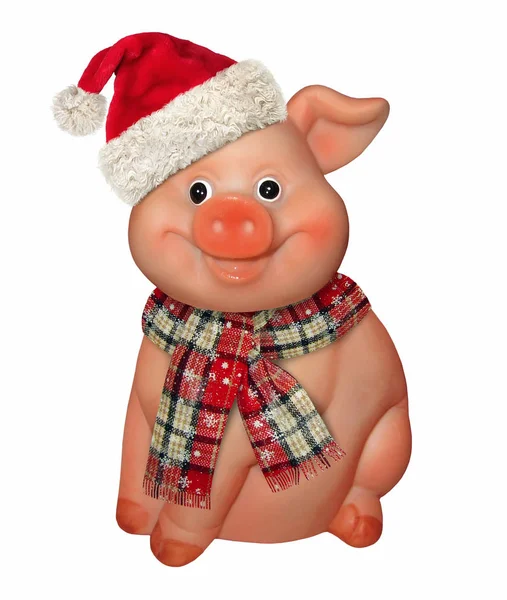 Merry Pig Red Hat Scarf White Background New Year 2019 — Stock Photo, Image