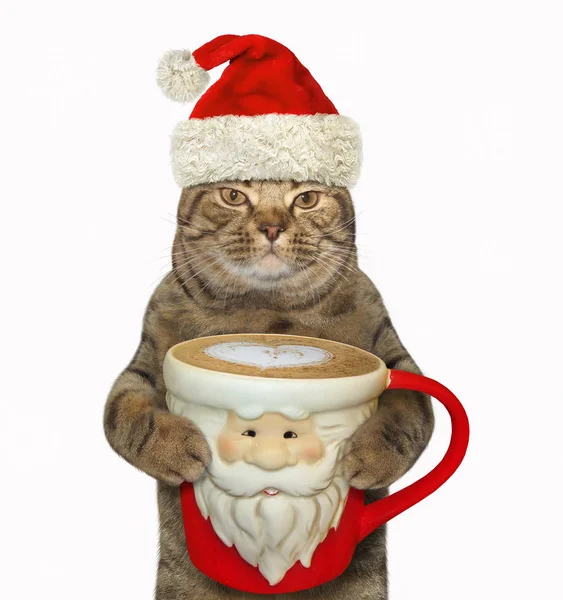 Kočka Klobouku Santa Claus Drží Velký Šálek Černé Kávy Bílé — Stock fotografie