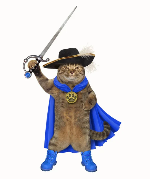 穿着蓝色斗篷的超级英雄猫和一根带羽毛的黑色帽子拿着一把剑 白色背景 — 图库照片