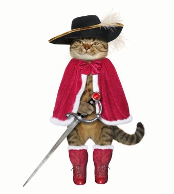 Kırmızı pelerin ve tüy ile siyah bir şapka kedi silahşör bir kılıç tutan. Beyaz arka plan.
