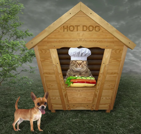 The cat sells hot dogs from a small wooden house. A dog is next to it.