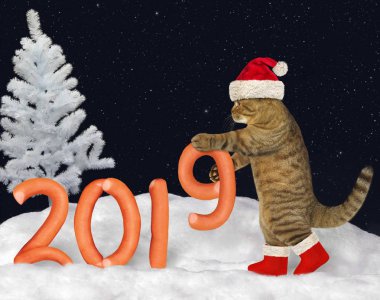 Noel Baba şapkalı kedi yapılar sosis ormanın içinde kar üzerinde yapılan rakamlar 2019 sayısı.