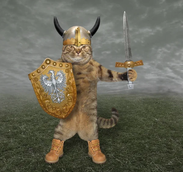The cat knight in a helmet with horns holds a sword and a shield on the battlefield.