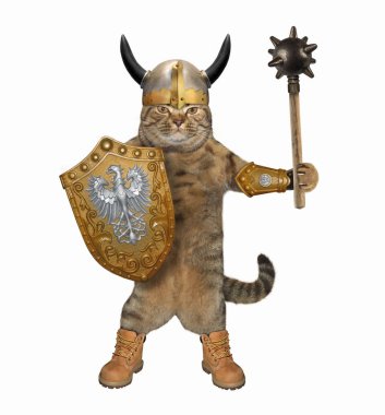Kedi şövalye boynuzları olan bir kask içinde tutan bir topuz ve bir kalkan. Beyaz arka plan.