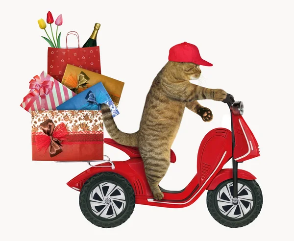 Kot Czerwonym Kapturku Jeździ Motorower Torby Prezenty Białe Tło — Zdjęcie stockowe