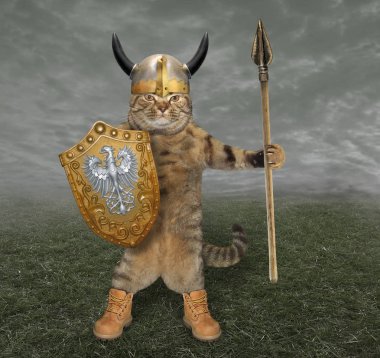 Boynuzları olan bir kask içinde kedi şövalye bir mızrak ve kalkan savaş alanında tutar.