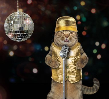 Altın kap içinde kedi aynalı küreyi yakınındaki aşamada bir şarkı söylerken.