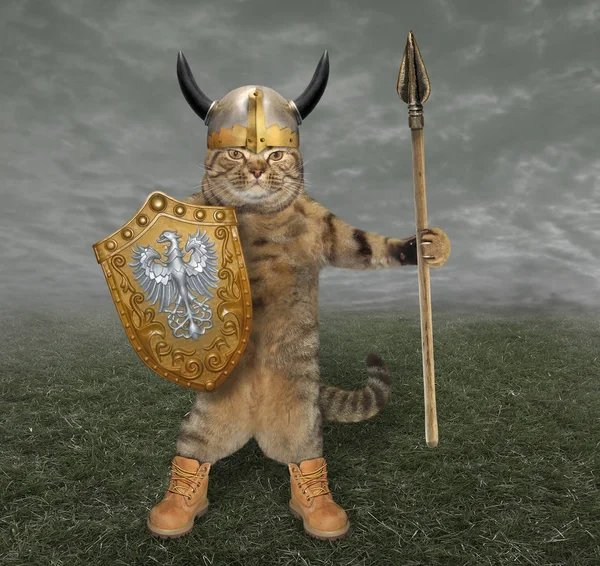 Cat Knight Helmet Horns Holds Spear Shield Battlefield — Stock Photo, Image