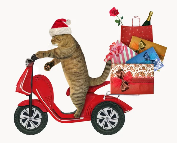 Katten Hatten Jultomten Rider Moped Med Jul Gåva Påsar Vit — Stockfoto