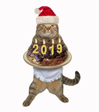 Noel Baba şapkalı kedi Noel kek tutuyor. Beyaz arka plan.