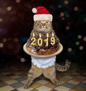 Noel Baba şapkalı kedi Noel Kek evde tutuyor.