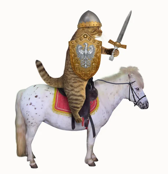 Cat Knight Helmet Feathers Holds Sword Shield War Horse White — Stock Photo, Image