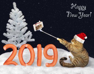 Noel Baba şapkalı kedi sosis kış ormanın içinde kar üzerinde yapılan numarası 2019 yakınındaki selfie yapar. Yeni Yılınız Kutlu Olsun.