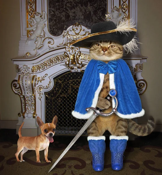 Kalenin içinde bir şömine bir kılıç ve köpeği ile mavi bir pelerin kedi silahşör yakındır.