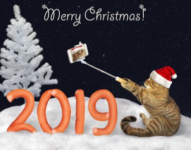 Noel Baba şapkalı kedi sosis kış ormanın içinde kar üzerinde yapılan numarası 2019 yakınındaki selfie yapar. Mutlu Noeller.