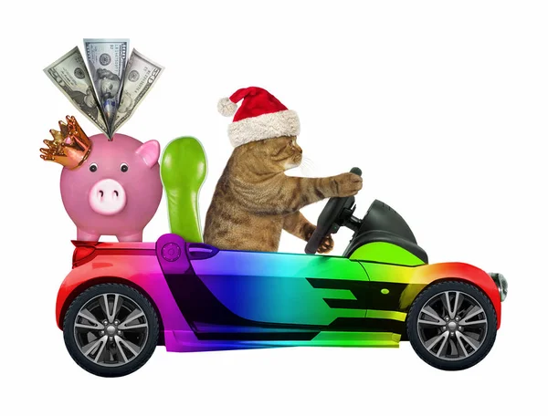Gato Sombrero Santa Claus Conduce Cabriolet Color Con Una Alcancía —  Fotos de Stock