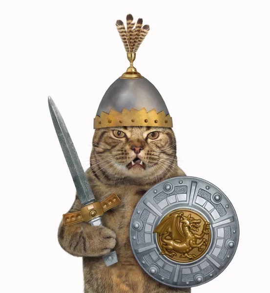 Cat Knight Helmet Feathers Holds Sword Shield Coat Arms White — Stock Photo, Image